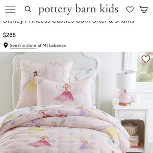 Pottery Barn Kids Disney Princess Castles Comforter & 2 Shams